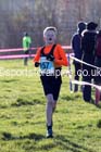 Boys under-13s North Eastern Cross Country Chanpionships. Photo: David T. Hewitson/Sports for All Pics